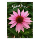 Recherche de juif photographie Fleurs
