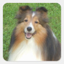 Recherche de souriants autocollants Animal
