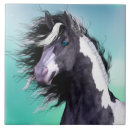 Recherche de gitan Chevaux