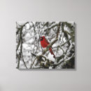 Recherche de cardinal rouge toiles Peinture