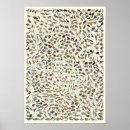 Recherche de evolution posters Darwin