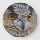 Recherche de raptor horloges Oiseau