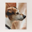Recherche de jack russell puzzles Mignon