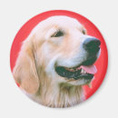 Recherche de extracteurs Dogs