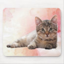 Recherche de chaton gris tapis souris Animaux domestiques