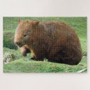 Recherche de wombat puzzles Animaux