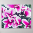 Recherche de cyclamen art Fleurs