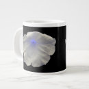 Recherche de pétunia maison deco Fleurs