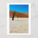 Recherche de sable cartes postales Dunes