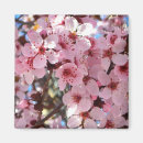 Recherche de arbre fleurissant magnets Fleurs