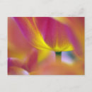 Recherche de lisse s cartes postales Rouge