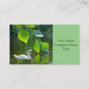 Recherche de cygnes cartes visite Toute personne