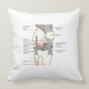 Recherche de anatomie coussins Anatomique