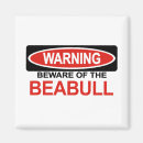 Recherche de beabull Chien