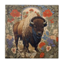 Recherche de bison carreaux Faune