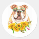 Recherche de hipster dog autocollants Bulldog