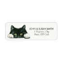 Recherche de chat blanc mignon Amoureux des chats