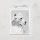 Recherche de dogo argentino cartes postales Argentine