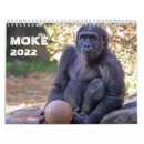 Recherche de singe bureau fournitures Gorille