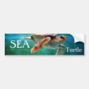 Recherche de tortue marine voiture autocollants Nature