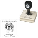 Recherche de saint bernard Silhouette