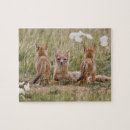 Recherche de une canine puzzles Mammifère