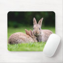 Recherche de lapin bébé tapis souris Nature