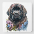 Recherche de terre neuve horloges Dog