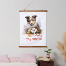 Recherche de shelties posters Pour elle