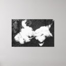 Recherche de coton art Dog