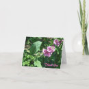 Recherche de rose trémière vœux cartes Floral