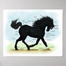 Recherche de anatomie cheval posters Pour tous