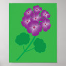 Recherche de géranium posters Plante