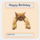 Recherche de perse autocollants Orange