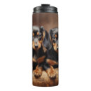 Recherche de chiot chien saucisse tasses Dog