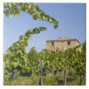 Recherche de toscane carreaux Rustique