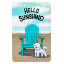 Recherche de bichon magnets Dog