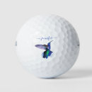 Recherche de sablage Colibri