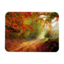 Recherche de chemin forestier vœux cartes Paysage