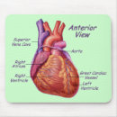 Recherche de anatomique tapis souris Cardiologue