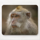 Recherche de monkey tapis souris Animal