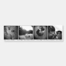 Recherche de photo chien voiture autocollants Photographie