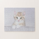 Recherche de peinture de chat puzzles Chaton