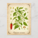 Recherche de cayenne posters Chaud