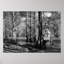 Recherche de waterscapes art Lac