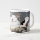 Recherche de bébé chat tasses Mignonne