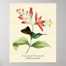 Recherche de colibri art Nature
