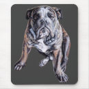 Recherche de bulldog tapis souris Tauromachie