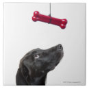 Recherche de os carreaux Noir