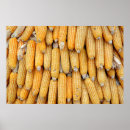 Recherche de alignement art Agriculture